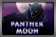 Panter Moon
