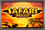 Safari Heat