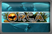 Orca