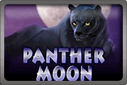 Panther Moon