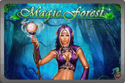 Magic Forest