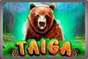 Taiga