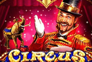 Circus